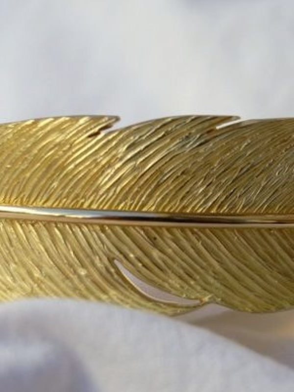 Bracelet or plume